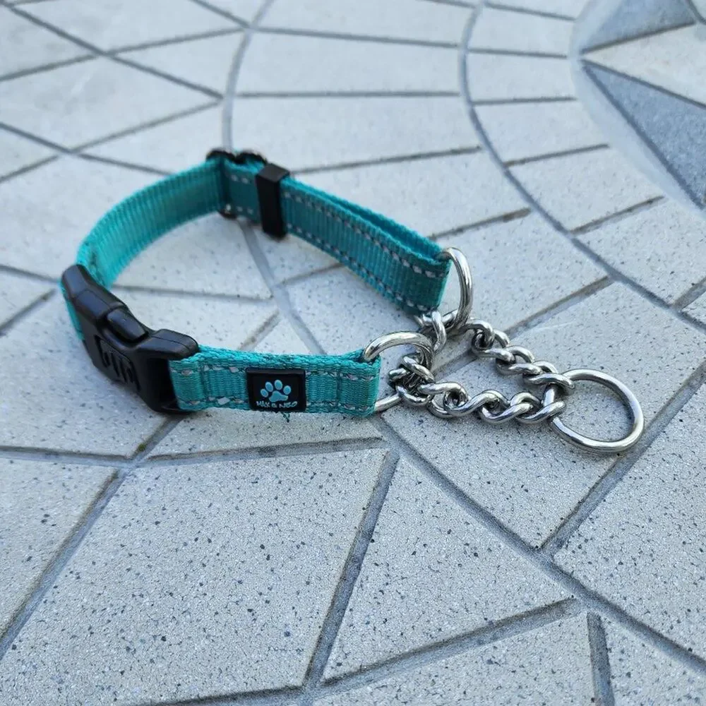 Max and Neo Stainless Steel Chain Reflective Nylon Martingale Collar